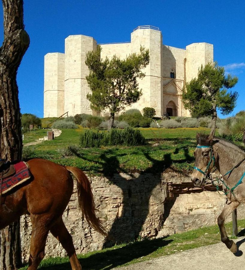 Casa Vacanza Dei Greci Barletta Exteriör bild